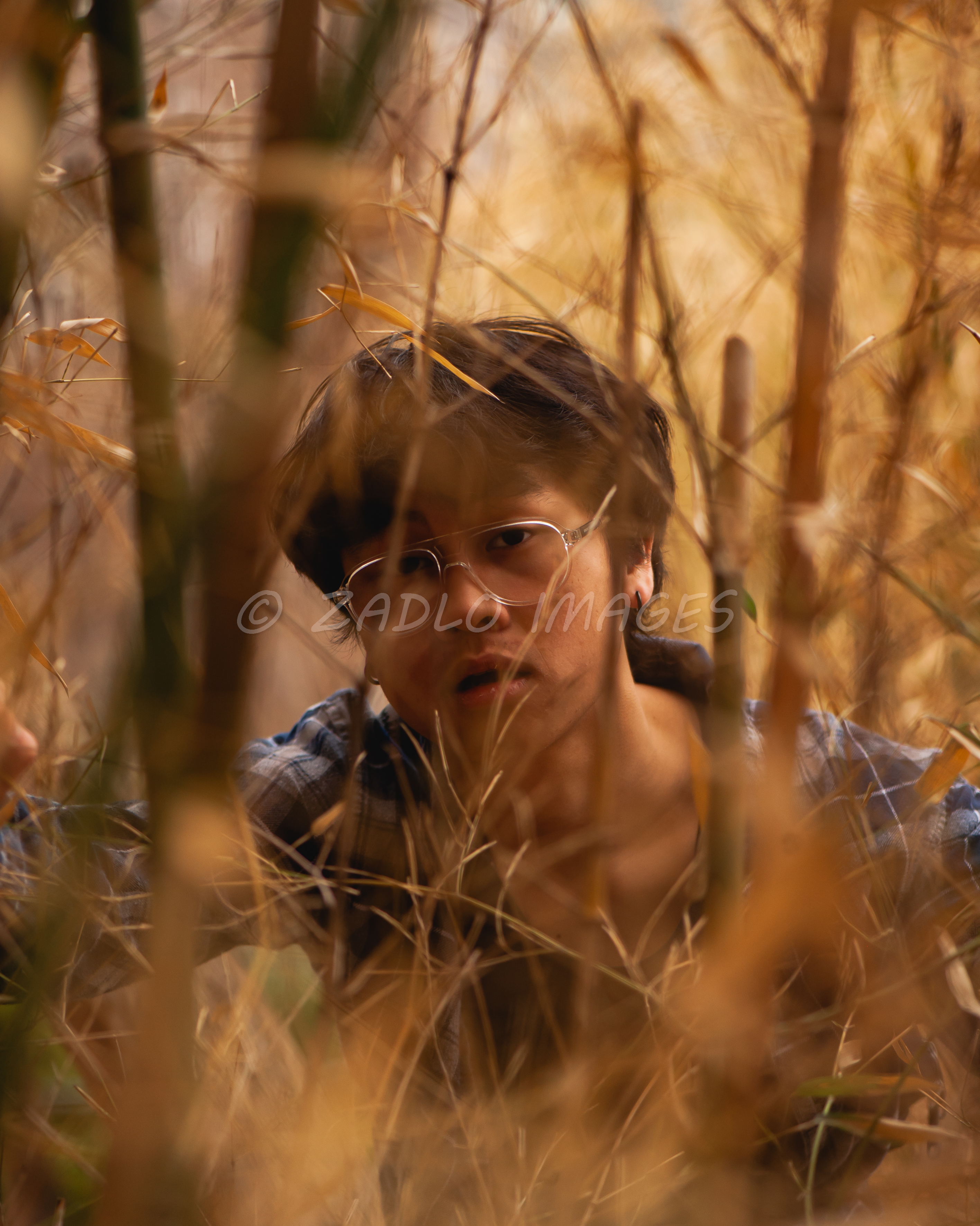 portfolio image